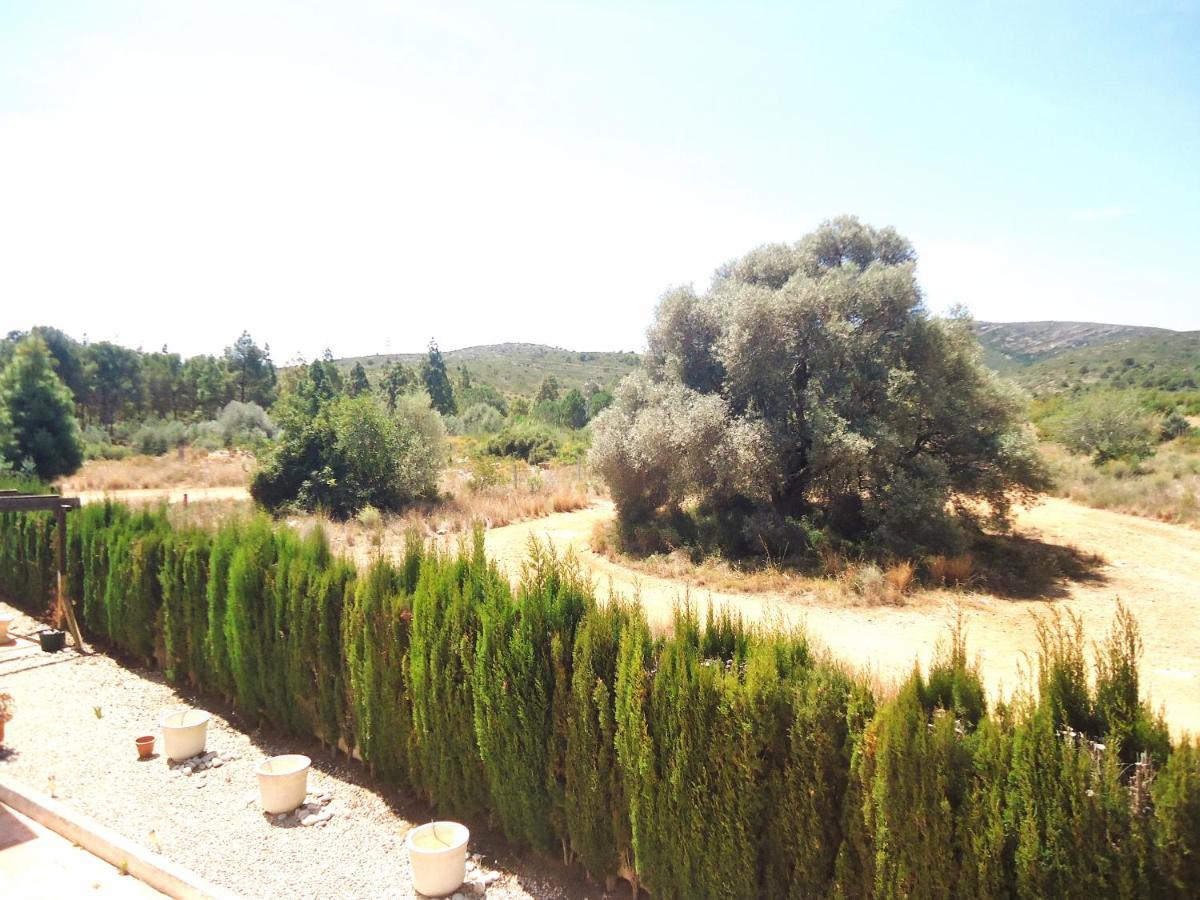 Los Olivos Residencial Lek Peñíscola Екстериор снимка